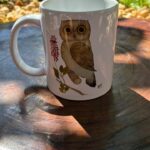 WhatsApp Image 2026-01-15 at 15.54.18