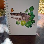 WhatsApp Image 2026-01-15 at 15.54.19 (3)