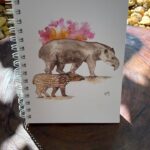 WhatsApp Image 2026-01-15 at 15.54.20 (1)