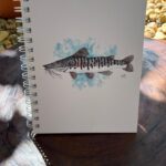 WhatsApp Image 2026-01-15 at 15.54.20 (2)