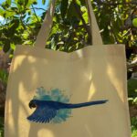 WhatsApp Image 2026-01-15 at 15.54.23 (1)