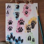 Pegas Fauna do Pantanal